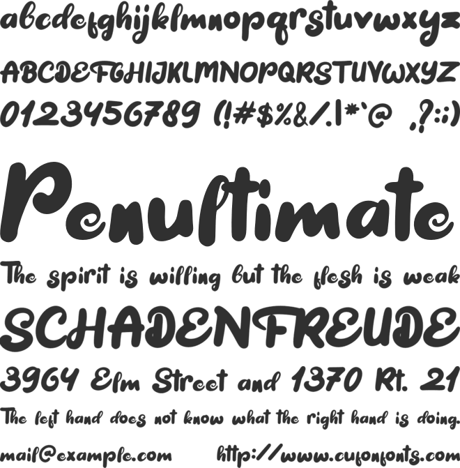 Winter Cat font preview