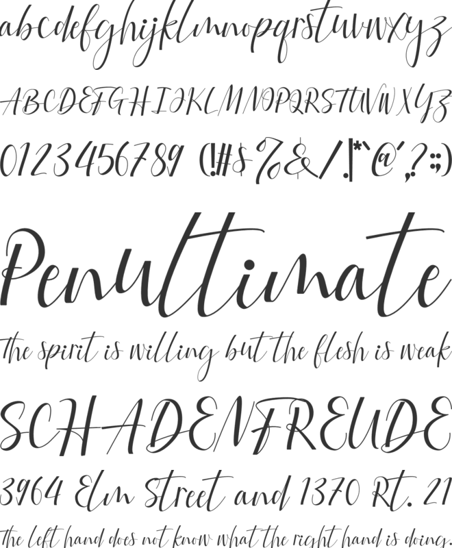 Fattia font preview