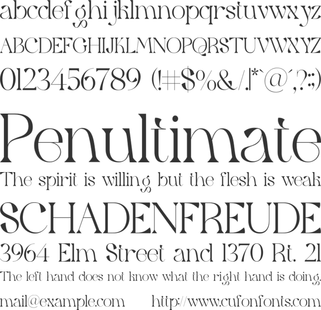 Qaitan Serif Font font preview