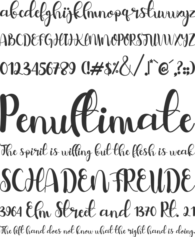 belymole font preview