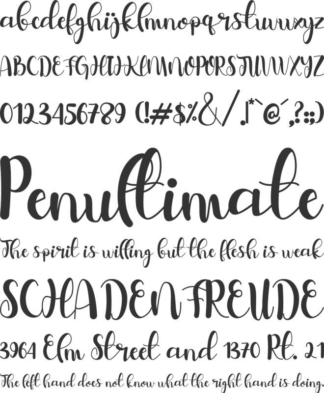 belymole font preview