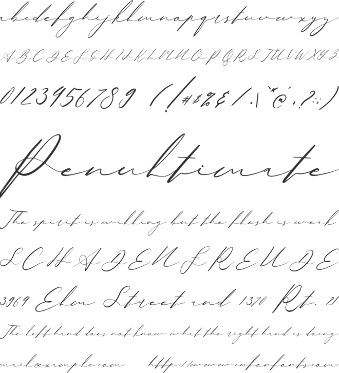 Quensialy font preview