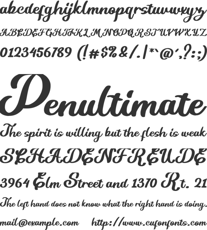 Kamilya font preview