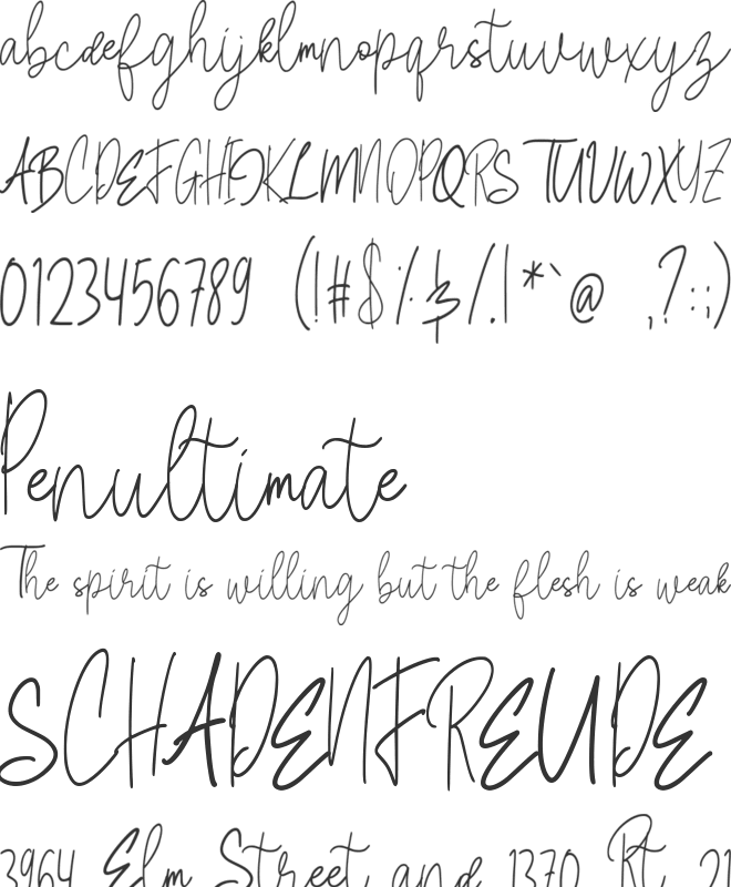 Anisaly font preview