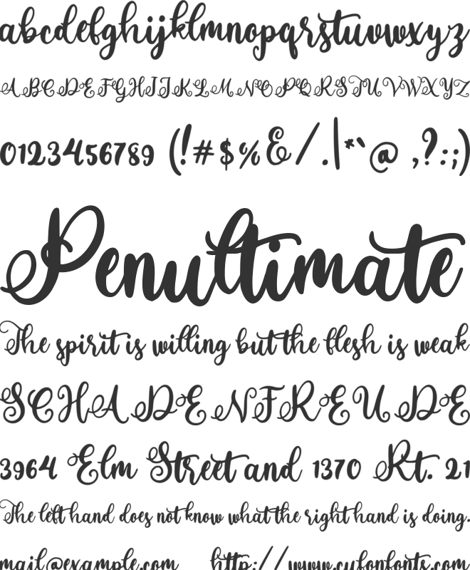 Wonder Script font preview