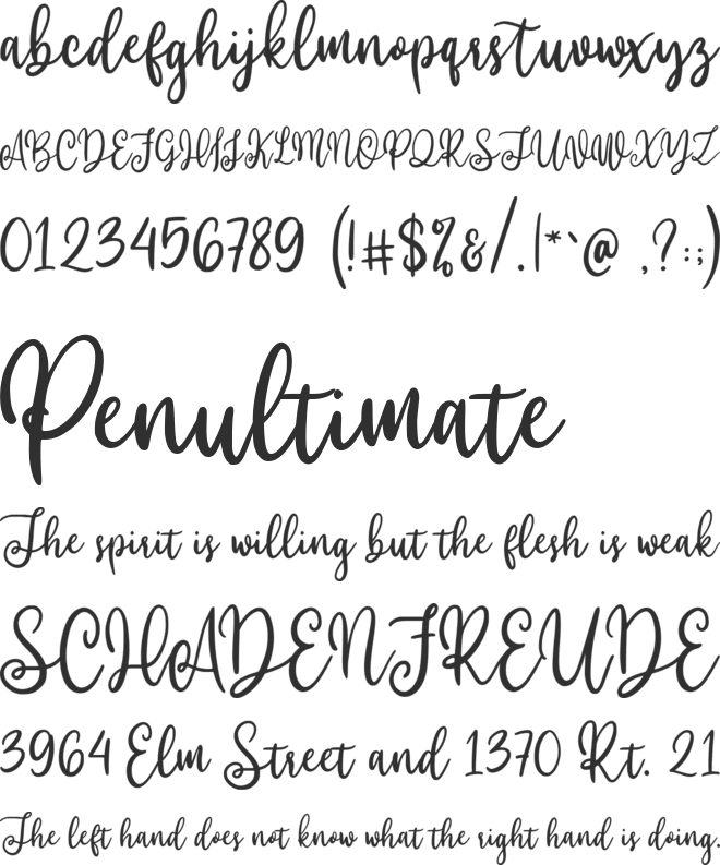 Willyast font preview
