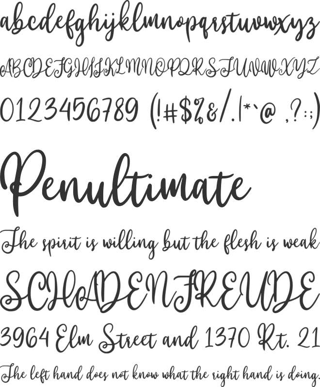 Willyast font preview