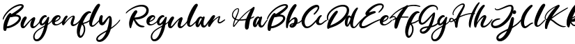 Bugenfly Regular font