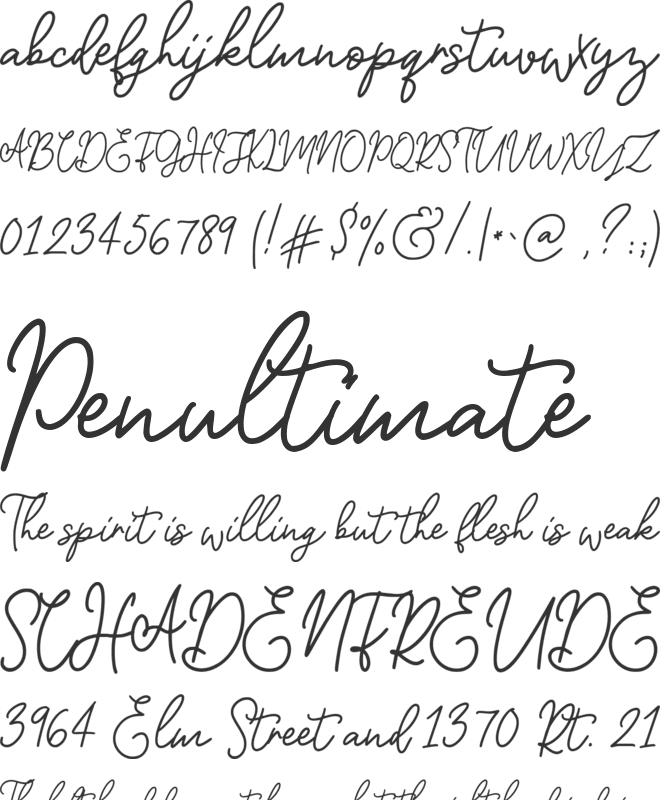 Ruincity font preview