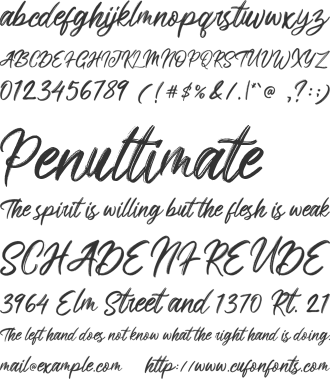 Brighnesy font preview