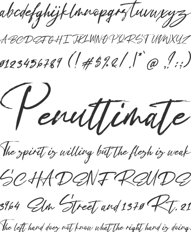 Exstensyon font preview