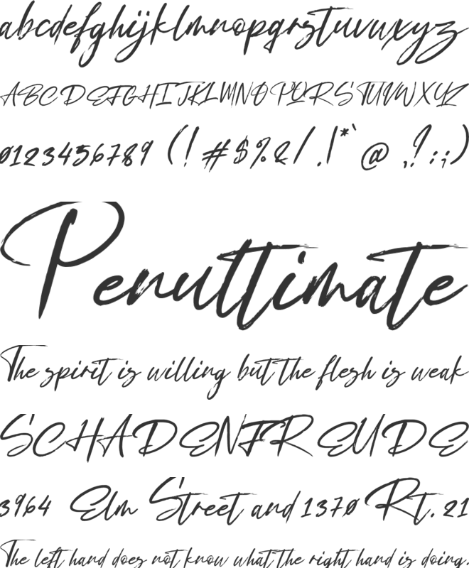 Exstensyon font preview