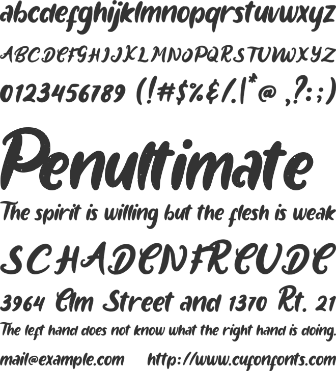 Bollywod font preview