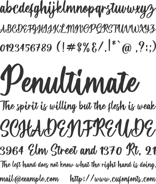 Barcetto font preview