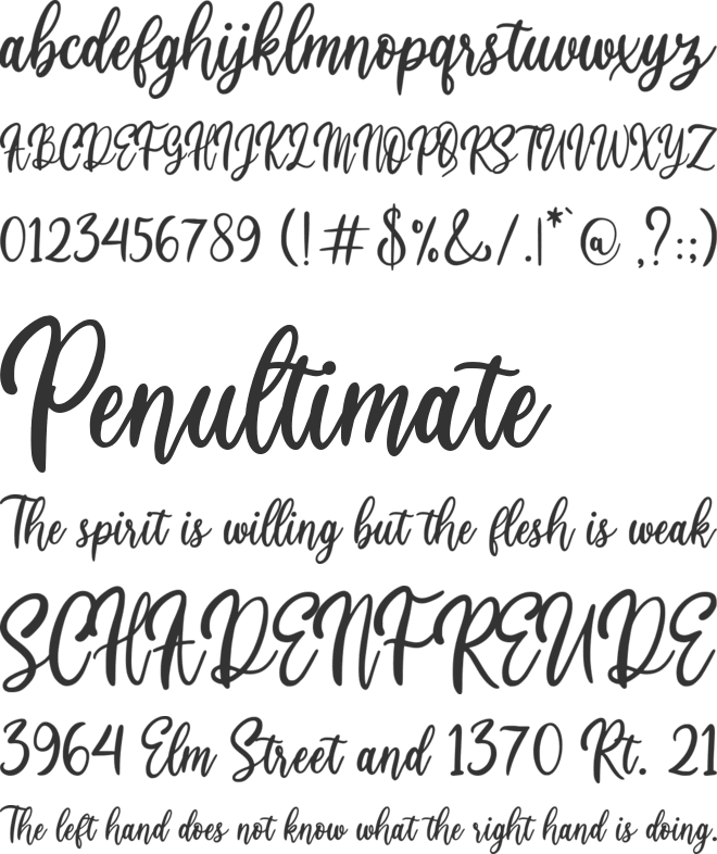 Butterly font preview