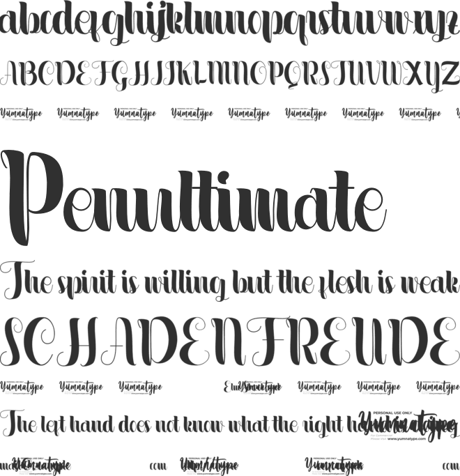 Masculine Personal Use font preview