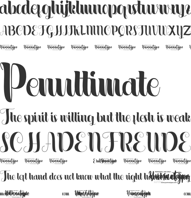 Masculine Personal Use font preview