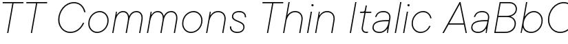 TT Commons Thin Italic font