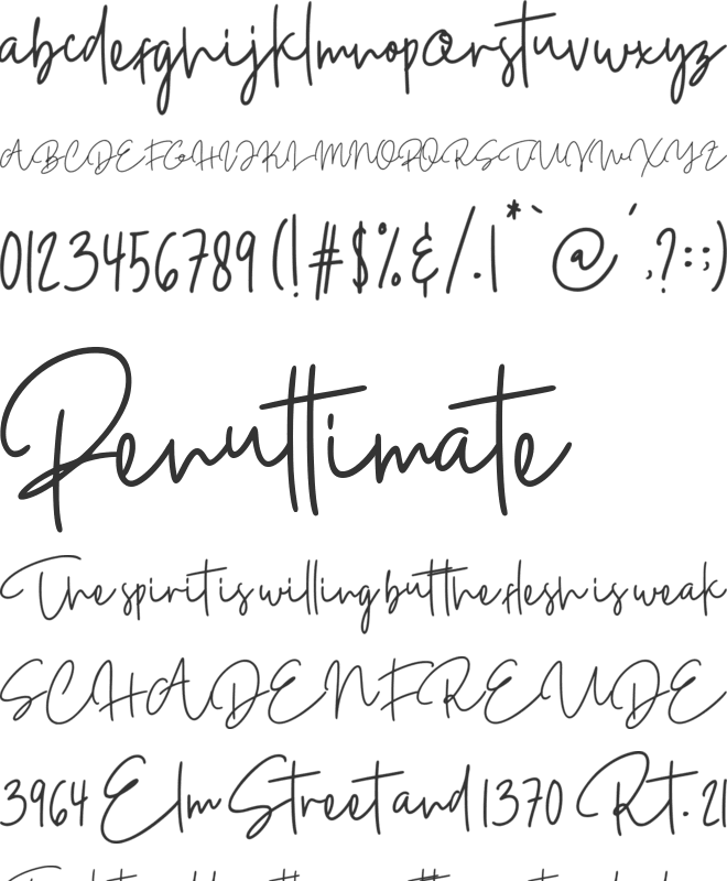 Rochestar font preview