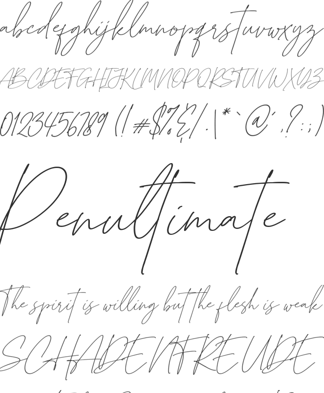 British Shorthair font preview