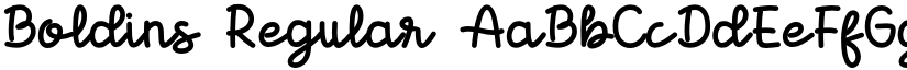 Boldins Regular font