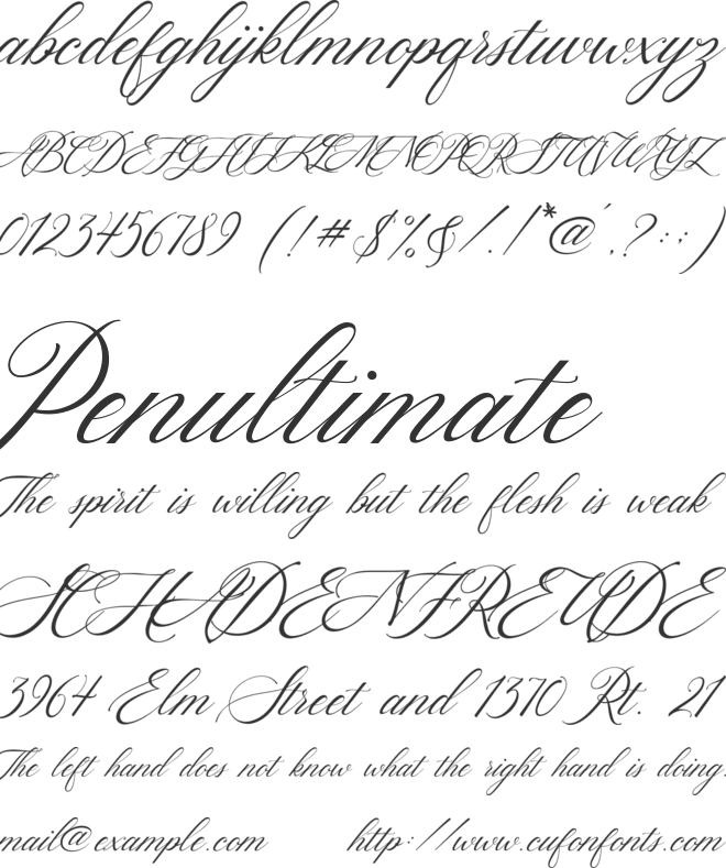 Hello Bride Script font preview