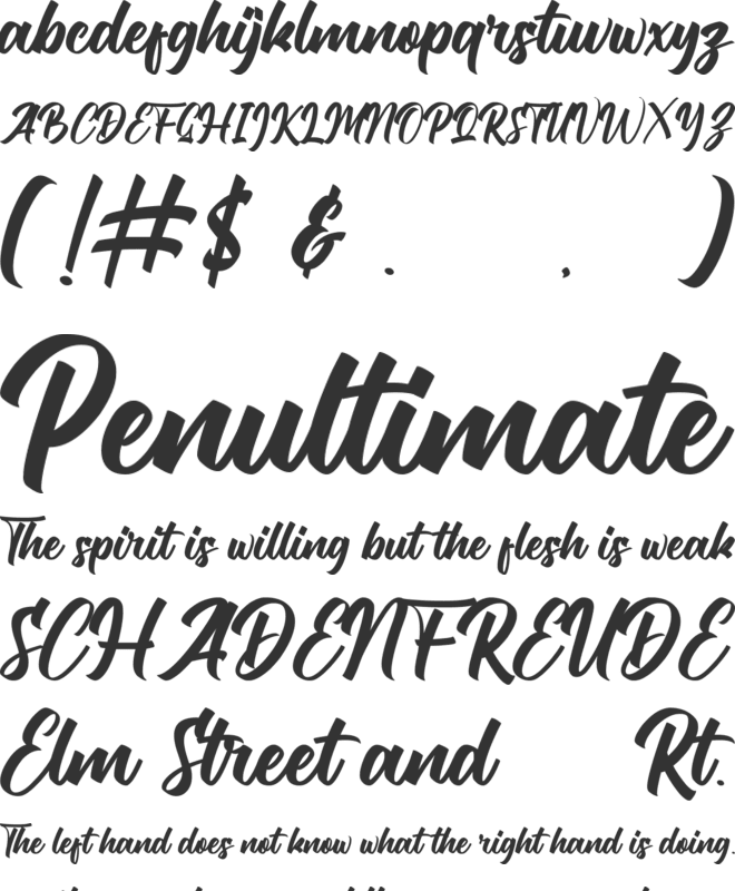 Etalasi font preview