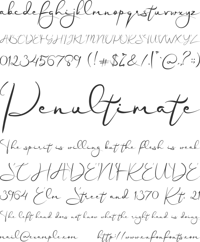 Blanche font preview