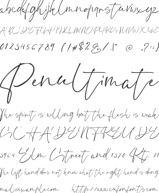 Ethikopia Signature font preview