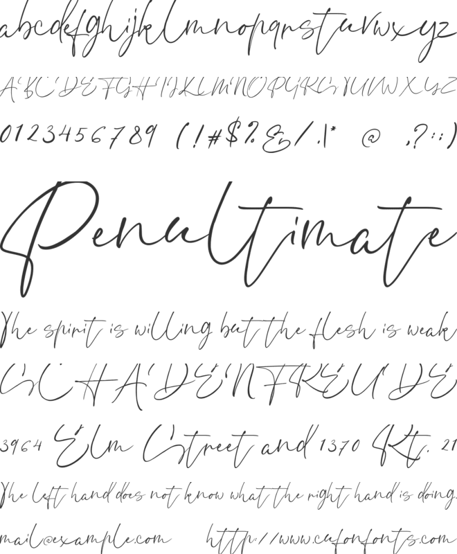 Ethikopia Signature font preview