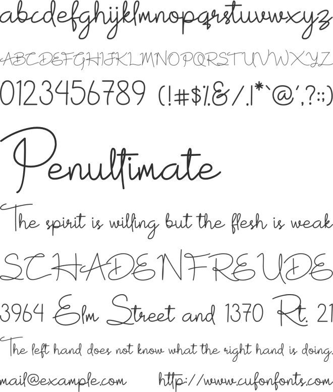 White Rose font preview