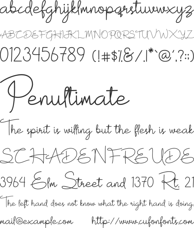 White Rose font preview