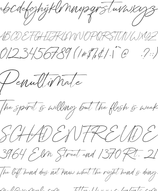 Amelia_Bloomer font preview