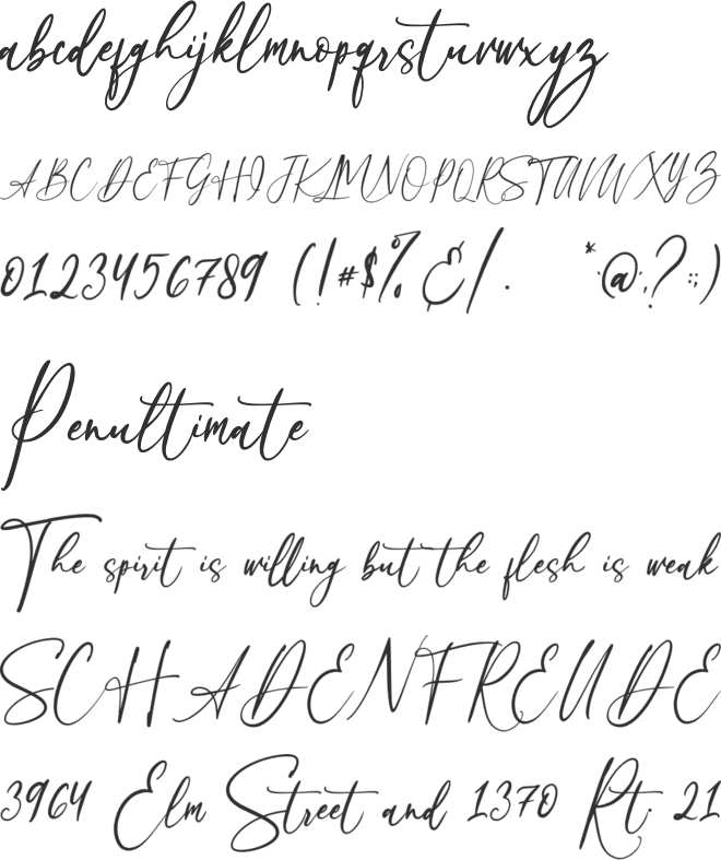 Beloved Collection font preview