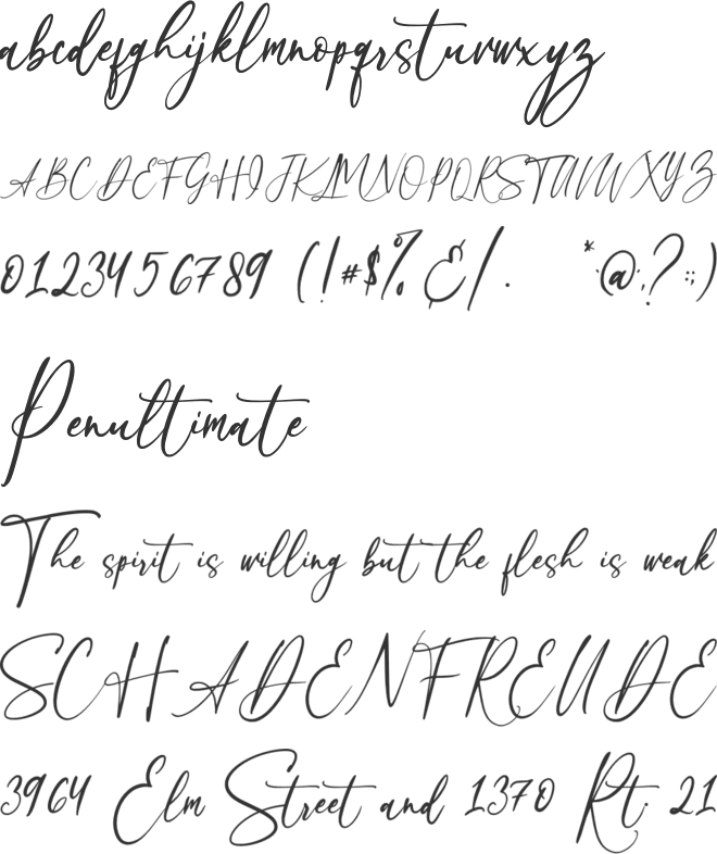 Beloved Collection font preview