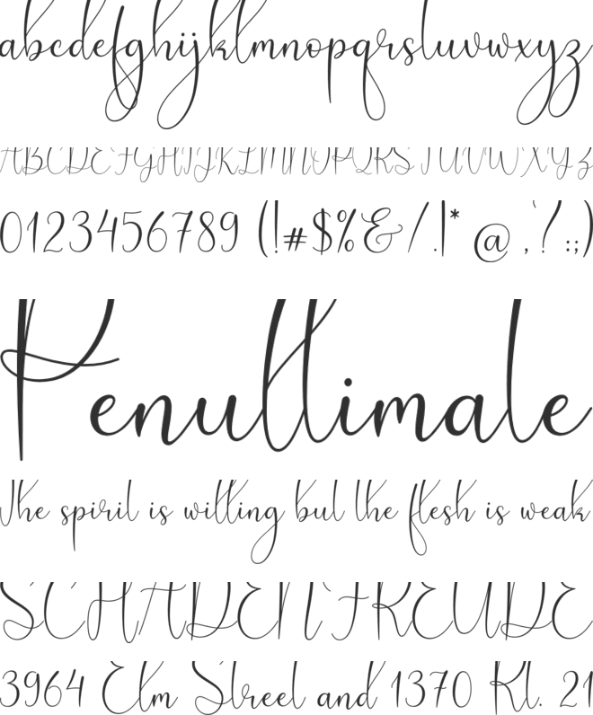 My Favorite font preview