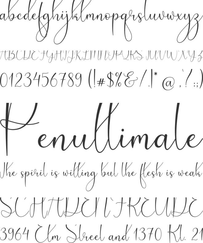 My Favorite font preview