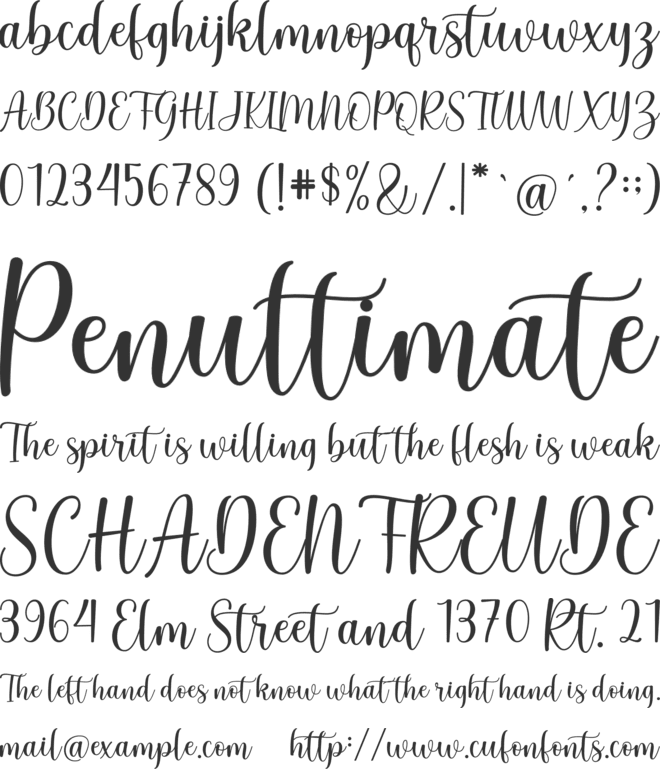 Bunny Honey font preview