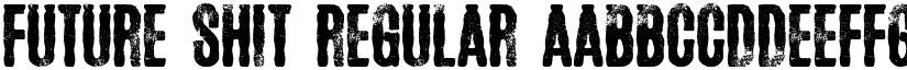 Future Shit Regular font