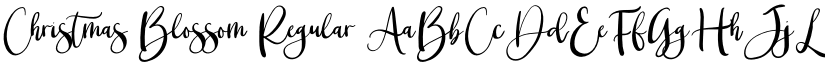 Christmas Blossom Regular font