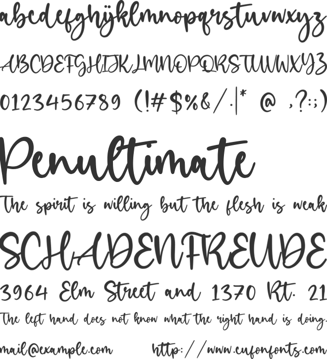 Birdlove font preview