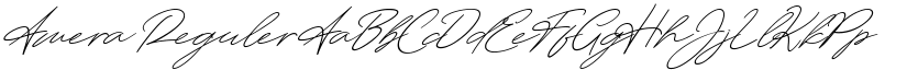 Amera Reguler font