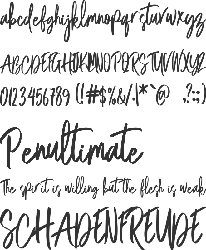 Acoustica South font preview