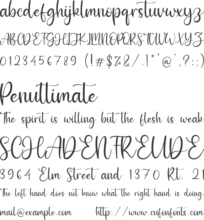 Sharlene font preview