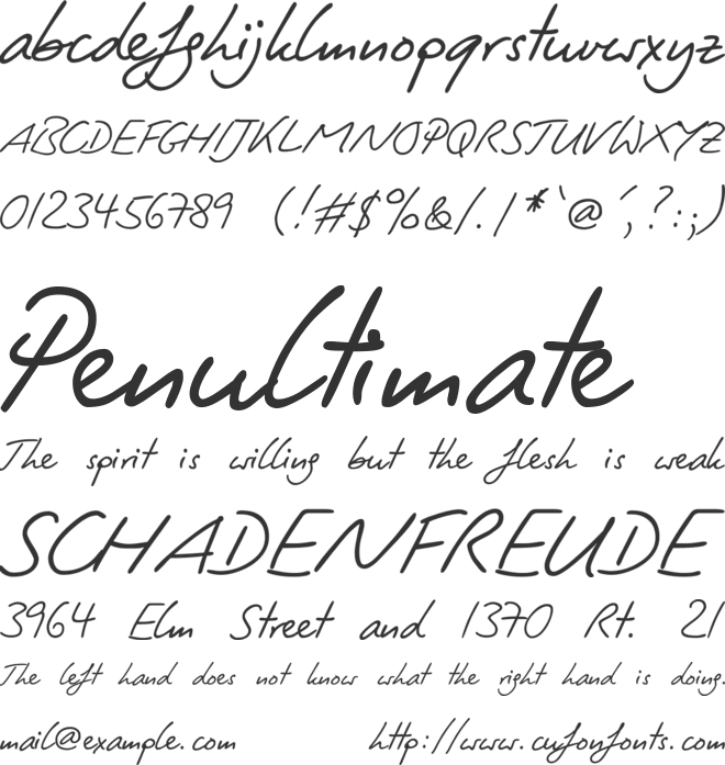 PT Script Zephyr font preview