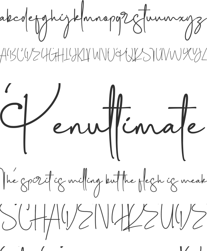Photography Signature font preview