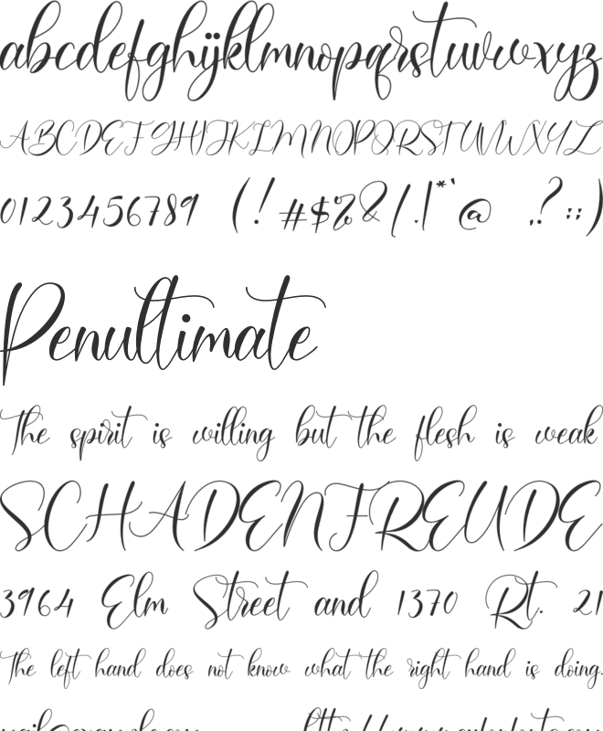 Bailey font preview