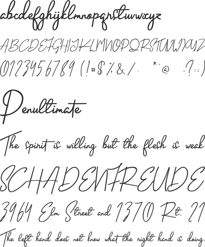 Handletter Signature font preview