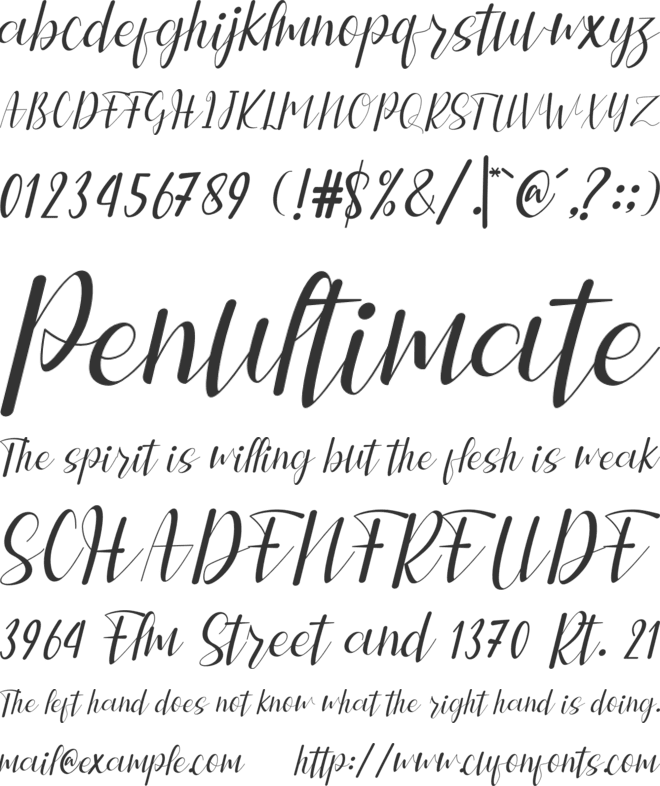 leniyha font preview