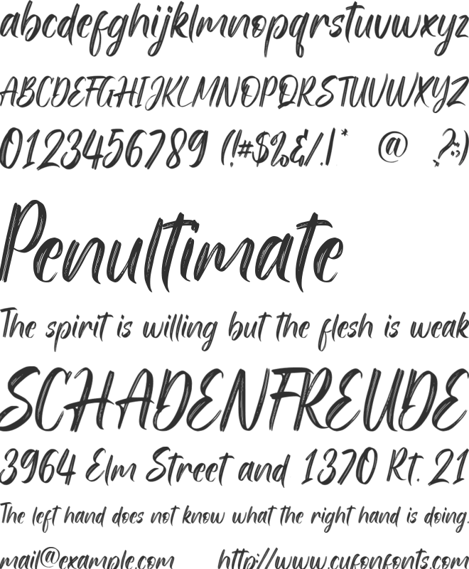 Stright Brush font preview